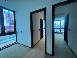 Palm Grove Avenue (D19), Terrace #497829731